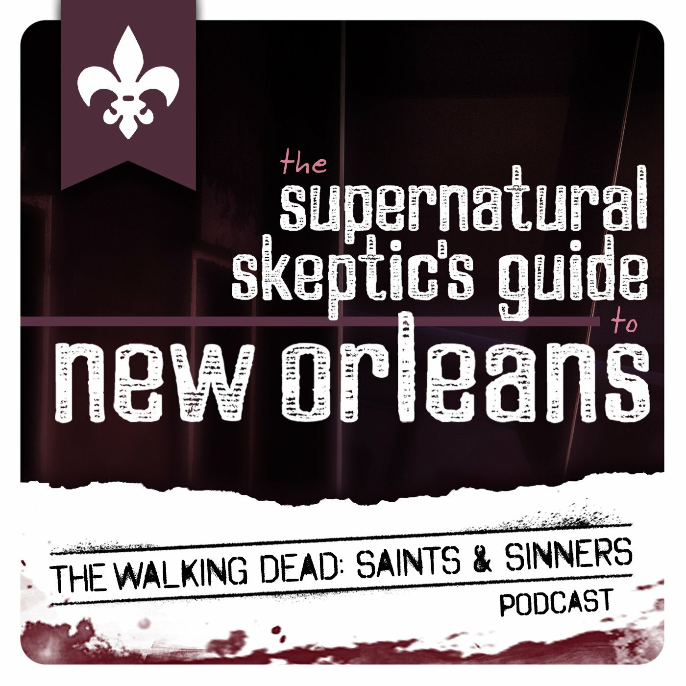 Supernatural Skeptics Guide to New Orleans - Part Ten: The Flood - podcast-icon-v4-5051568
